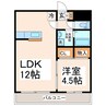 セリーヌ坪井 1LDKの間取り