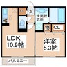 リトルフォレストα 1LDKの間取り