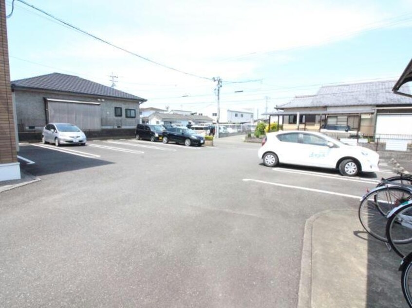  パインフォレスト　モーニング