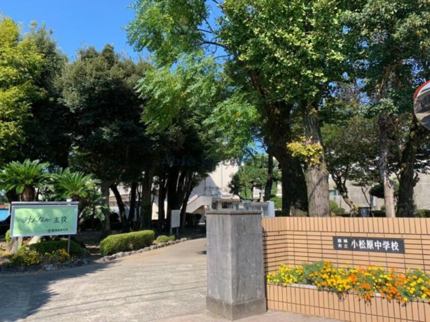 都城市立小松原中学校(中学校/中等教育学校)まで2091m ロータス都城3
