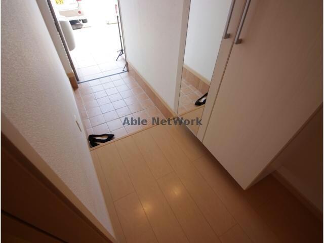  ロング　シーダーＤ