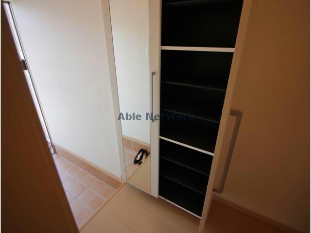  ロング　シーダーＤ