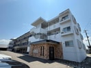 M10.若葉の外観