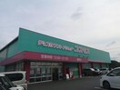 ディスカウントドラッグコスモス猪野店(ドラッグストア)まで435m ミミヤヒル　A棟