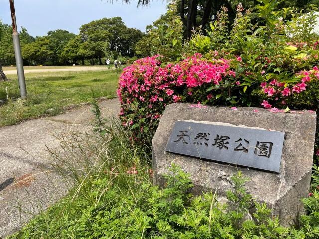 天然塚公園(公園)まで742m 天然館ビルⅣ