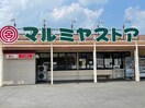 マルミヤストア敷戸店(スーパー)まで2384m アベニール大分