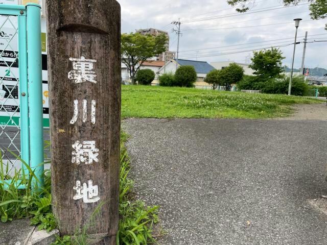 裏川緑地(公園)まで604m ピアチェーレ六本松