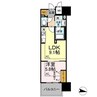 Park Avenue EAST 1LDKの間取り