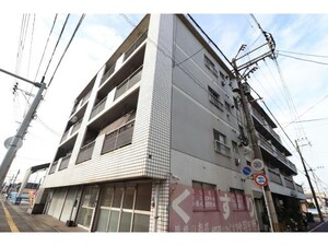 プリーザントマキ