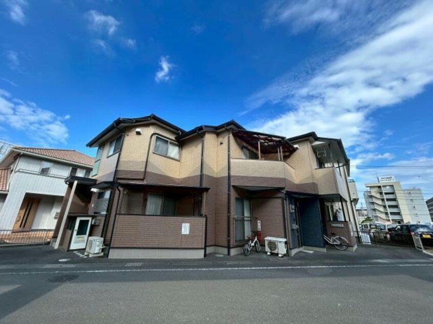  サングレイス上野