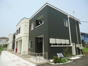 フリースタイル