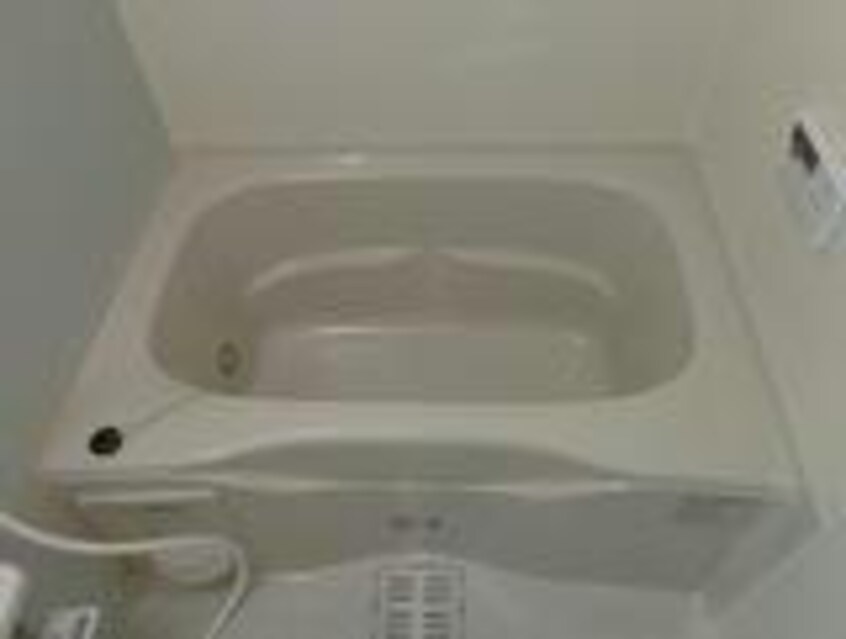  フリースタイル