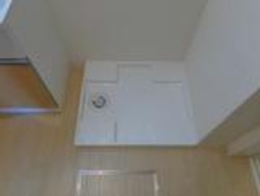  フリースタイル