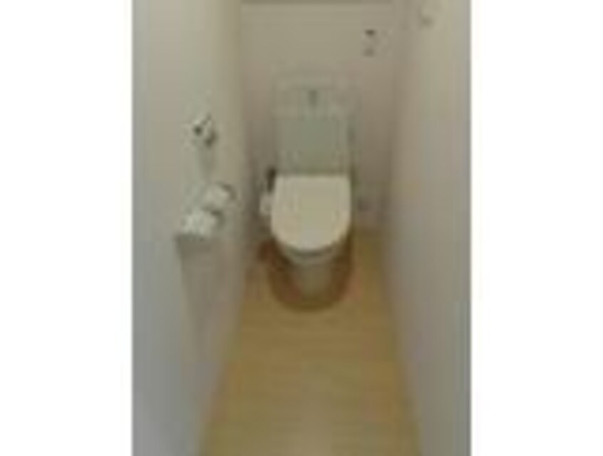  フリースタイル