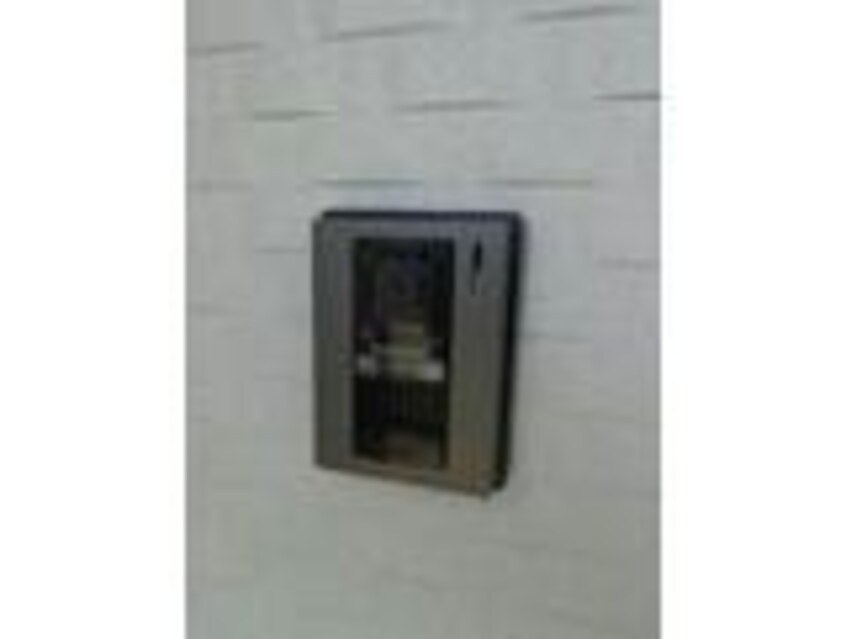  フリースタイル