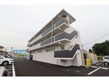 ロータス皆春
