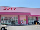 ディスカウントドラッグコスモス下郡店(ドラッグストア)まで725m レジデンス下郡Ⅰ