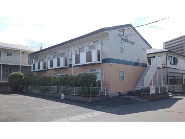  アクティブ・セキ