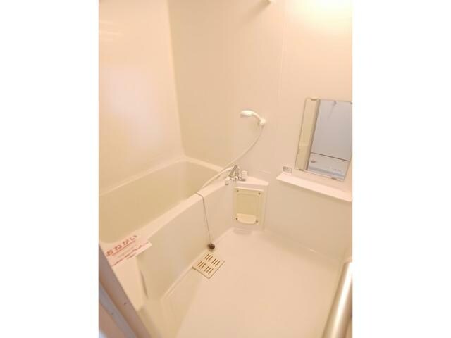  アクティブ・セキ