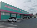 ディスカウントドラッグコスモス森町店(ドラッグストア)まで1482m ソレアード小池原