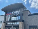 スーパースポーツゼビオ大分店(ショッピングセンター/アウトレットモール)まで1856m J.Festa Ⅰ