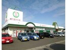 新鮮市場大在店(スーパー)まで306m CSK汐見Ⅱ