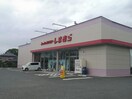 ファッションセンターしまむら猪野店(ショッピングセンター/アウトレットモール)まで656m ペアーレ葛木B棟