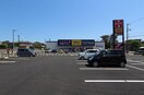 ゲオ寺尾店(ビデオ/DVD)まで337m アコーダンス松田