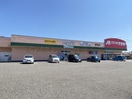 クスリのアオキ坂井砂山店(ドラッグストア)まで605m ハイエストヒル寺尾