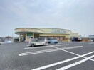リオン・ドール寺尾店(スーパー)まで1008m ウイングバレン