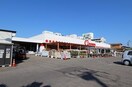 コメリハード＆グリーン小針店(電気量販店/ホームセンター)まで476m ヴェルベ小針