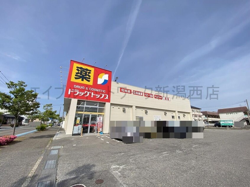 ドラッグ・トップス小針店(ドラッグストア)まで350m ソラーナ小針