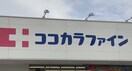 ココカラファイン新潟青山店(ドラッグストア)まで555m 小西ビル