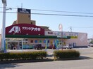 クスリのアオキ青山店(ドラッグストア)まで749m アーバンハイツ