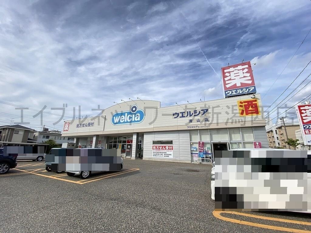 ウエルシア青山店(ドラッグストア)まで678m 越後線/小針駅 徒歩17分 1階 築46年