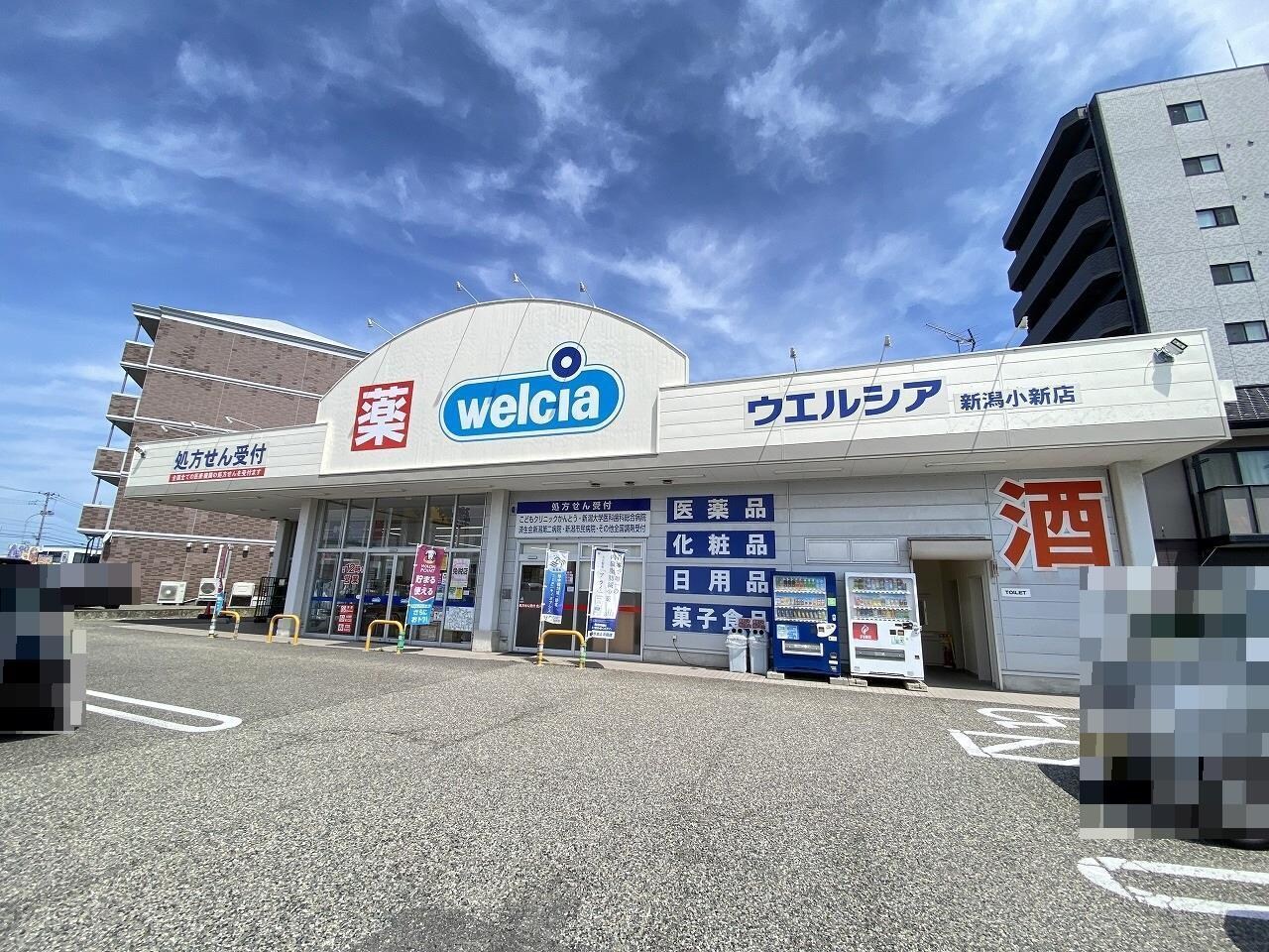 ウエルシア新潟小新店(ドラッグストア)まで1083m ピュアみやび１番館