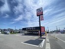 からやま新潟小新店(その他飲食（ファミレスなど）)まで1101m ピュアみやび１番館