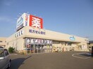 ウエルシア新潟大学前店(ドラッグストア)まで1016m ピュアみやび３番館