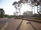 国立新潟大学(大学/短大/専門学校)まで1450m ピュアみやび３番館
