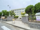 新潟市立坂井輪小学校(小学校)まで988m ハイツサングリーン