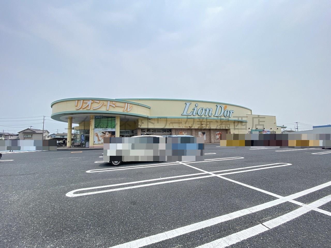 リオン・ドール寺尾店(スーパー)まで415m ハイツサングリーン