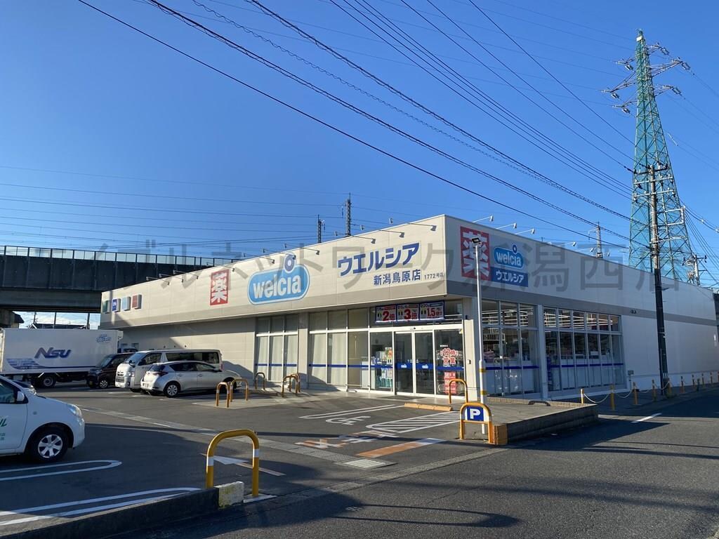 ウエルシア新潟鳥原店(ドラッグストア)まで814m セレッソ