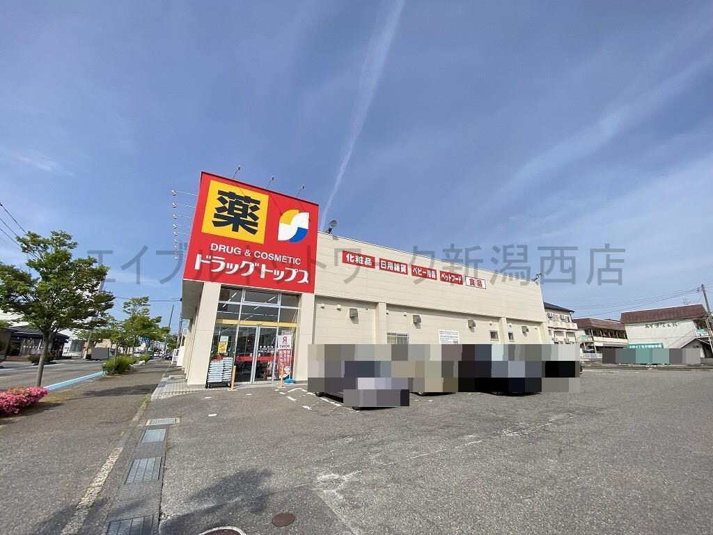 ドラッグ・トップス小針店(ドラッグストア)まで590m レジデンスK
