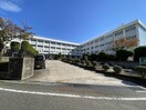 新潟市立東青山小学校(小学校)まで194m つかさマンション