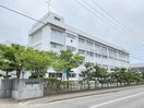 新潟市立小針中学校(中学校/中等教育学校)まで1083m つかさマンション