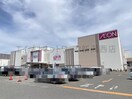 イオン新潟青山店(スーパー)まで348m つかさマンション