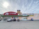 クスリのアオキ青山店(ドラッグストア)まで548m つかさマンション