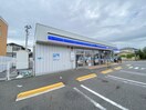 ローソン新潟坂井東二丁目店(コンビニ)まで489m メゾンテラオ
