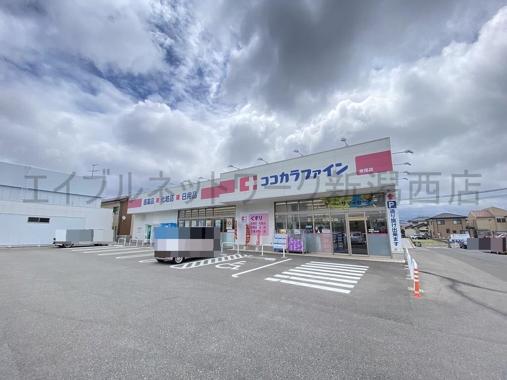 ココカラファイン寺尾店(ドラッグストア)まで556m メゾンテラオ