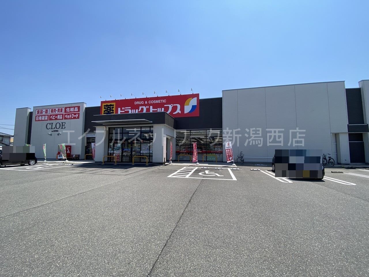 ドラッグ・トップス寺尾東店(ドラッグストア)まで566m メゾンテラオ